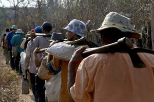 Ministério do Trabalho e FPA discutem trabalho escravo no setor agrícola