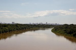 Mato Grosso flexibiliza lei e libera pesca de mais de 100 espécies