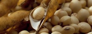 Exportações do agro mineiro somam US$ 1,1 bilhão em janeiro