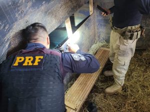 500 kg cocaína são apreendidos em caminhão que transportava cavalos