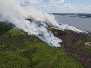 Em menos de dois meses, Itaipu atendeu seis ocorrências de incêndio florestal