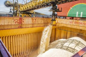 Com apoio da Índia, exportação de açúcar de cana rendeu 21% aos paranaenses
