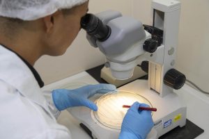 Instituito lança guia de análise de alimentos para ajudar laboratórios e universidades