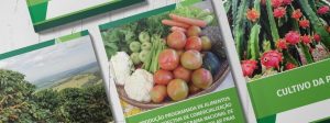 Novas cartilhas sobre cultivo e técnicas são disponibilizadas virtualmente para agricultores
