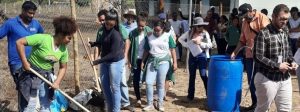 Cresce o interesse dos produtores por práticas agroecológicas