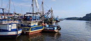 MPA busca certificação higiênico-sanitária nas embarcações de pescado