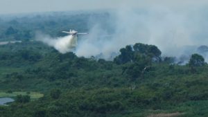 Com atuação coordenada por terra e ar, bombeiros controlam incêndio no Pantanal