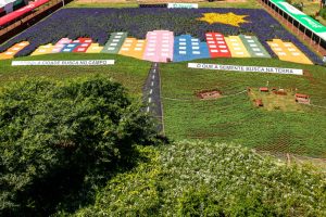 Mapa mostra o agro como fonte de integração do campo e cidade
