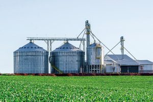BNDES financia quase R$ 1 bi em investimentos que ampliam capacidade de armazenagem agrícola