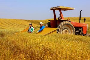 Paraná teve o maior crescimento da atividade econômica do Brasil; agro impulsionou o resultado