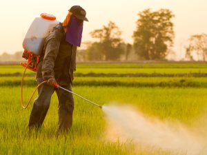FPA define prioridades para 2024; primeira é a derrubada de vetos à Lei de Pesticidas