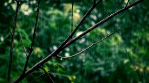 Sequência de dias com risco de chuva e temporais no Sul do Brasil
