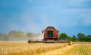 Aplicação do crédito rural chega a R$ 270 bilhões em sete meses do Plano Safra