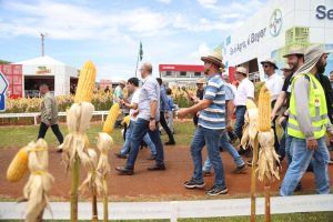 Paraná busca ampliação do uso do biogás e biometano