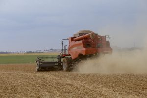 Produção de grãos deve chegar a 299,8 milhões de toneladas impactada por condições climáticas
