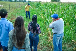 Instituições de ensino referência em estudos agronômicos participam do planejamento do agro estadual