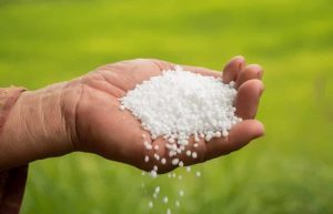 Projeto incentiva a produção de amônia e ureia usados como fertilizante pelo setor rural