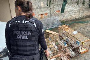 Polícia realiza operação contra tráfico de animais silvestres e exóticos