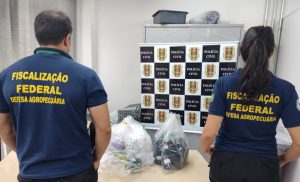 Operação Fármaco apreende 364 produtos manipulados sem prescrição veterinária