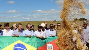 Safra de soja no Rio Grande do Sul deve ser recorde