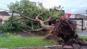 Frente fria chega ao Rio Grande do Sul com vento de 140 Km/h, Paraná está em alerta 