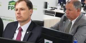 Câmara aprova equilíbrio entre preservação e agricultura em campos de altitude