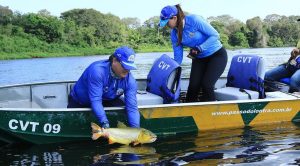 Pesca do dourado segue proibida no MS até março de 2025