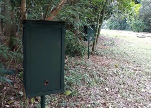 Oito espécies de abelhas-sem-ferrão são identificadas em refúgio biológico no Paraná