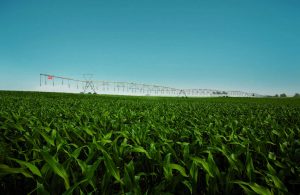 Rio Grande do Sul almeja aumentar área irrigada em 100 mil hectares