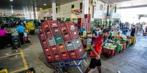Condições climáticas impactam oferta de frutas e hortaliças e influenciam preços