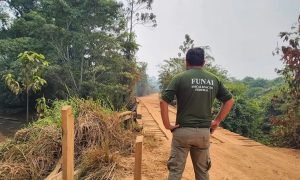 Presidente do STF determina poder de polícia a servidores da Funai