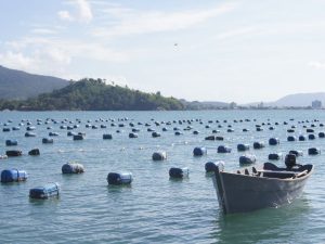 Maricultores têm até 30 de abril para enviar Relatório Anual de Produção