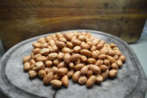 Gergelim e amendoim diversificam sistema de produção e geram renda