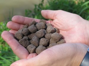 Embrapa Pesca e Aquicultura participará do INOVAMEAT