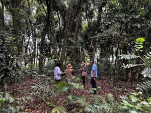 Itaipu e Embrapa iniciam inventário sobre a fauna e a flora da faixa de proteção da usina