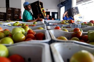 Para zerar desperdício, Banco de Alimentos doa 24 toneladas por mês a animais resgatados