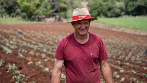 Irrigação de batata doce: conheça o produtor que teve aumento de 30% na produção