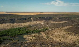 Força-Tarefa é montada para conter desmatamento no Cerrado