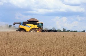 Mato Grosso do Sul é o Estado com o maior crescimento do PIB do agronegócio