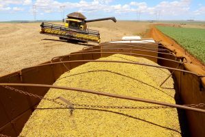 Boletim analisa safra de 18,8 milhões de toneladas de soja no Paraná e preços das carnes