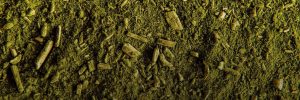 SENAR-PR busca instrutores para área de erva-mate