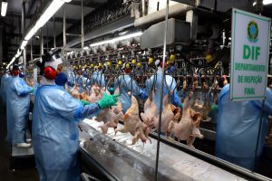Preços do frango voltam a subir em abril