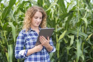 Pós em Desenvolvimento Regional e Agronegócio abre inscrições para alunos especiais