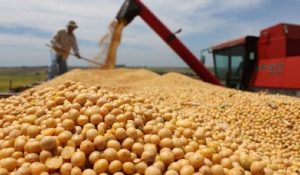 Governo de MS e Mapa alinham medidas para ajudar produtores de soja