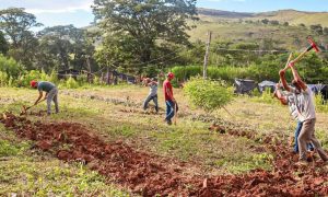 Justiça nega reintegração em fazenda ocupada pelo MST em MG