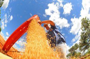 Exportações: superávit de MS cresce 16,7% e chega a 1,5 bilhão de dólares
