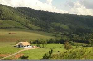 Procuradoria e TRF-4 restabelecem segurança jurídica para o manejo de áreas no território catarinense