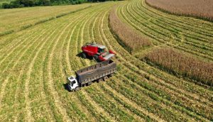 Balança Comercial do Agro Paulista registra alta de 23,4%