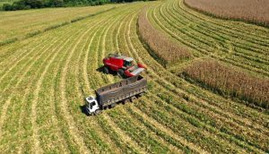 Governo de SP anuncia pacote de investimentos de R$ 1,4 bi para o agronegócio