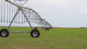 Comitiva participa de imersão sobre técnicas e inovações de irrigação e lavouras de grãos nos Estados Unidos
